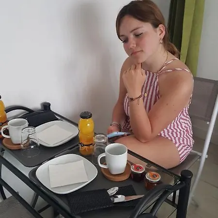 Appart Petillant Apartment