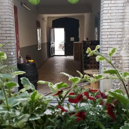 Apartment Appart Petillant Reims